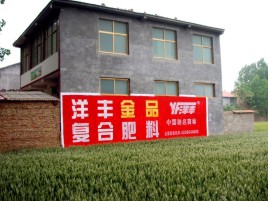 沧源如何让墙体广告展现最大化效果
