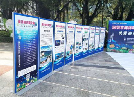 沧源KT板的种类和知识。